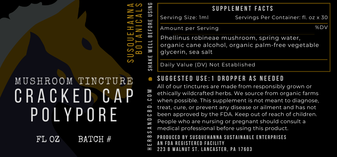Cracked Cap Polypore Tincture
