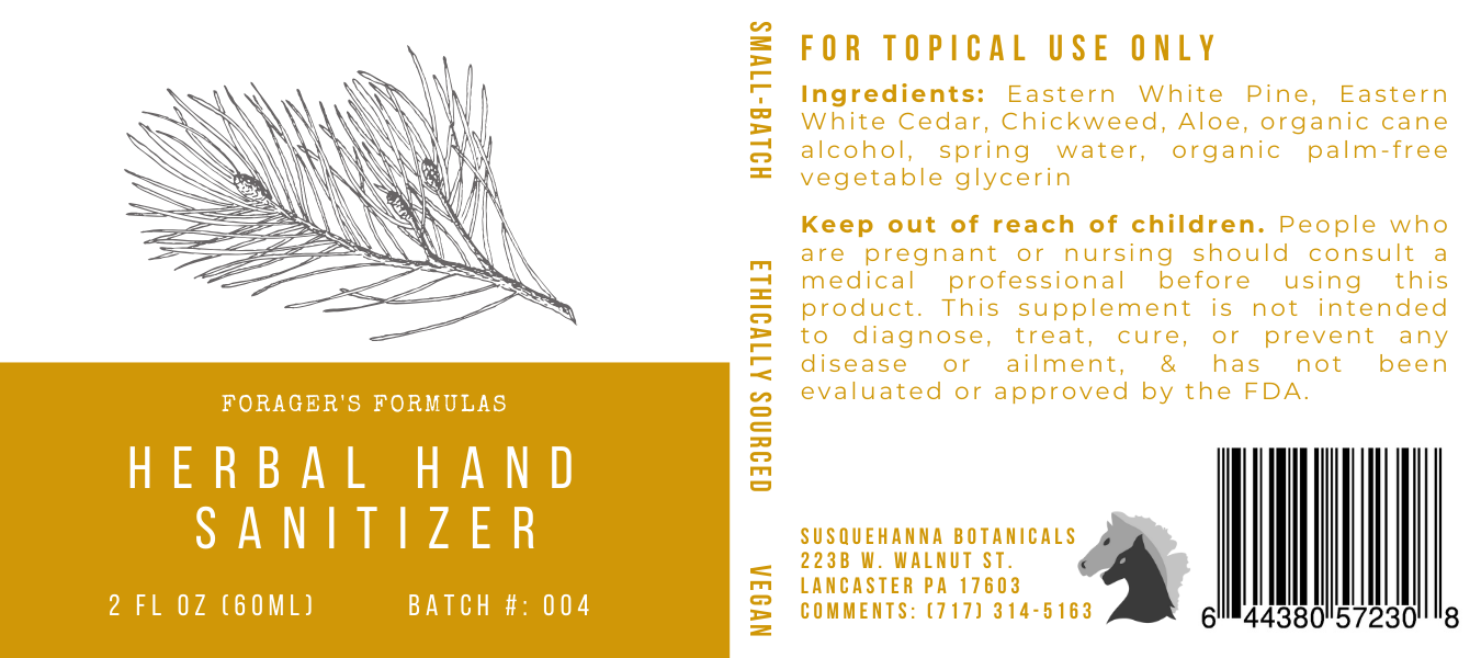 Herbal Hand Sanitizer - Forager's Formulas Body Care