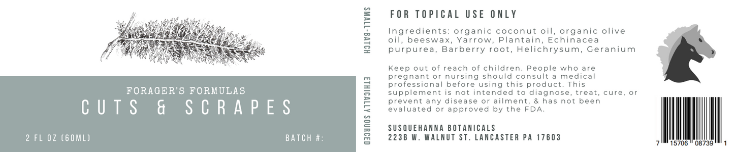 Cuts & Scrapes Salve - Forager's Formulas