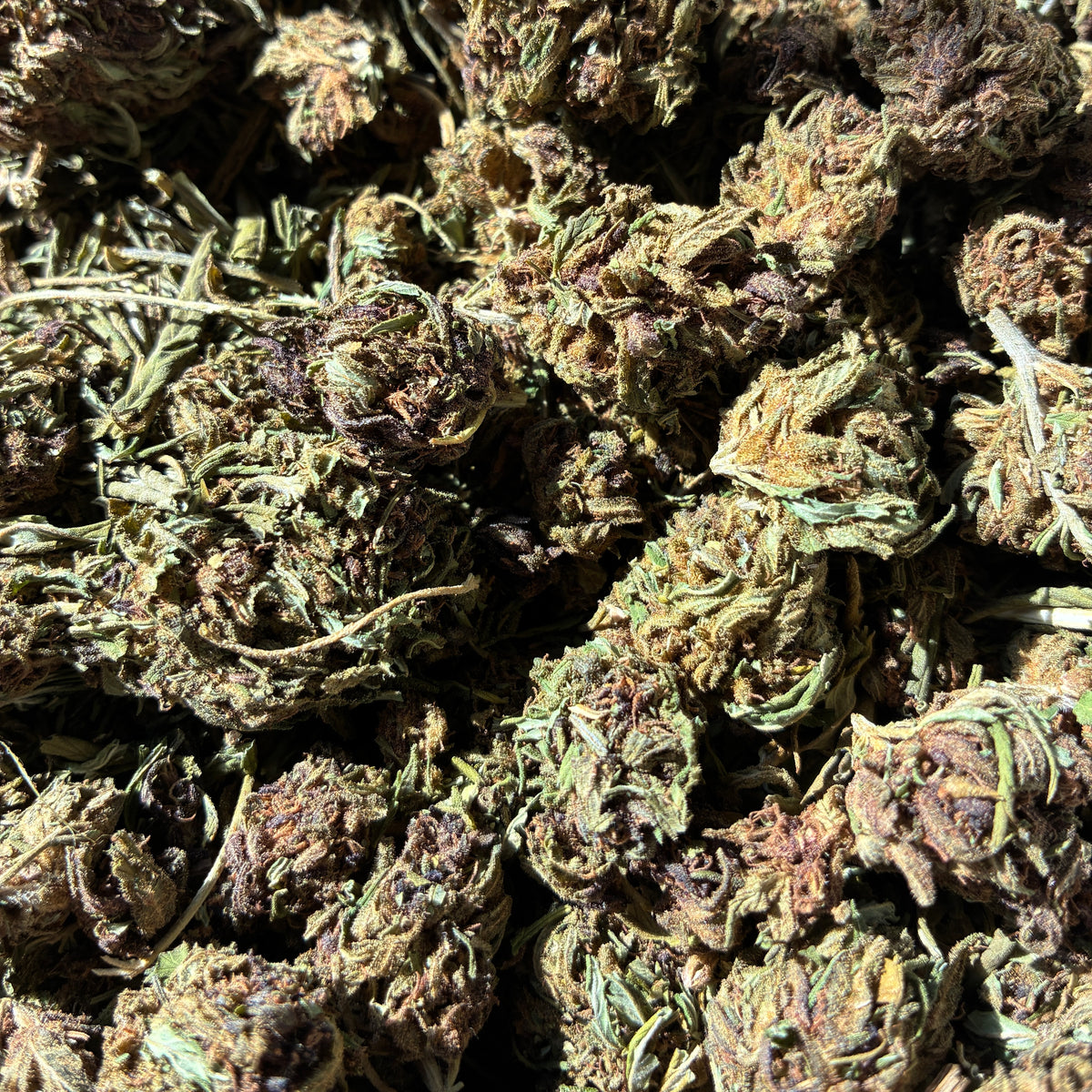 Frosted Grapes Hemp - CBD Flower
