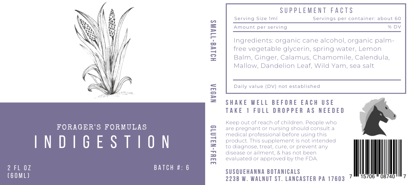 Indigestion Tincture - Forager's Formulas