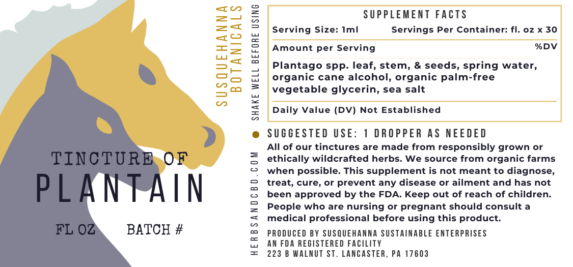 Plantain Tincture
