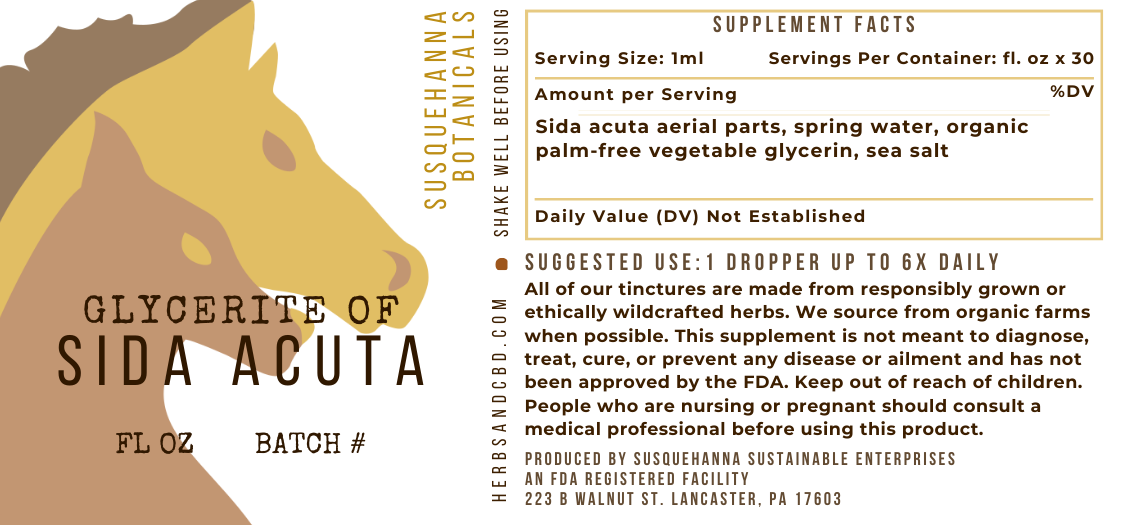 Sida Acuta Glycerite