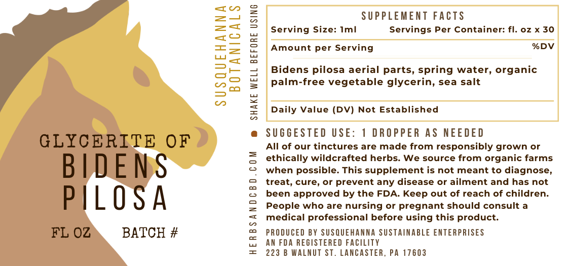 Bidens Pilosa Glycerite