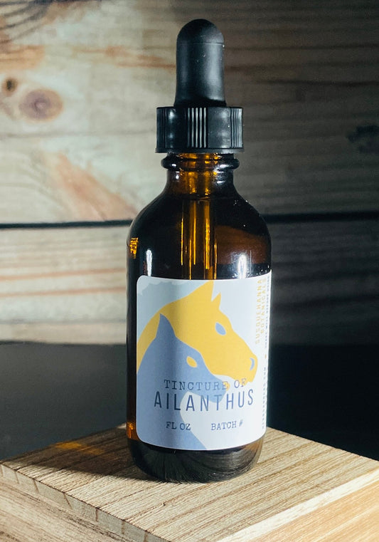 Ailanthus Tincture