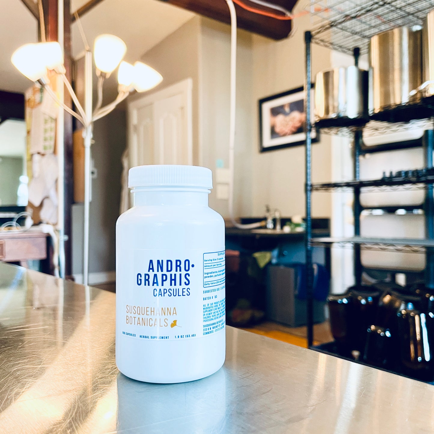 Andrographis Capsules | Hand Filled on GMP Equipment | Herbal Supplement | Kalmegh