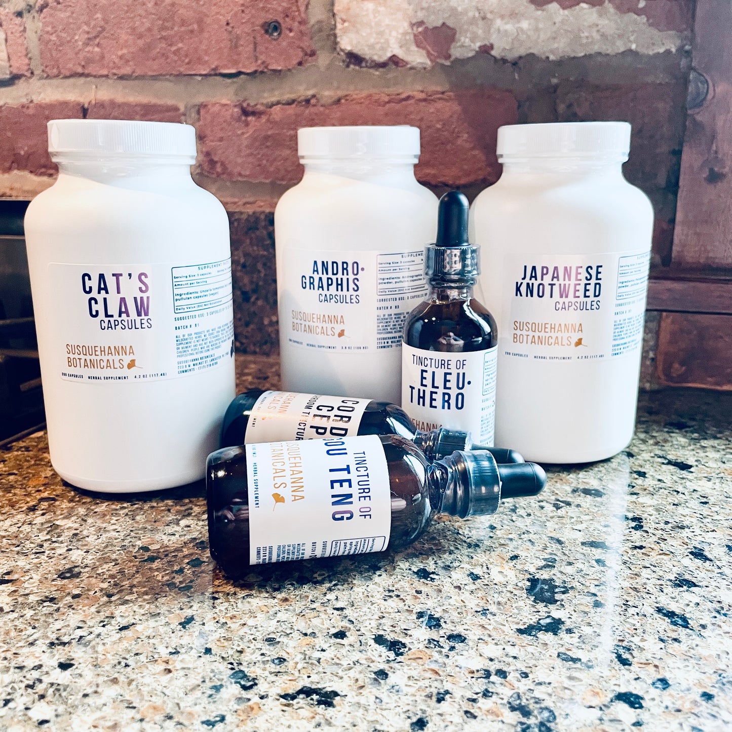 Buhner Protocol Starter Package | Herbal Capsules & Tinctures