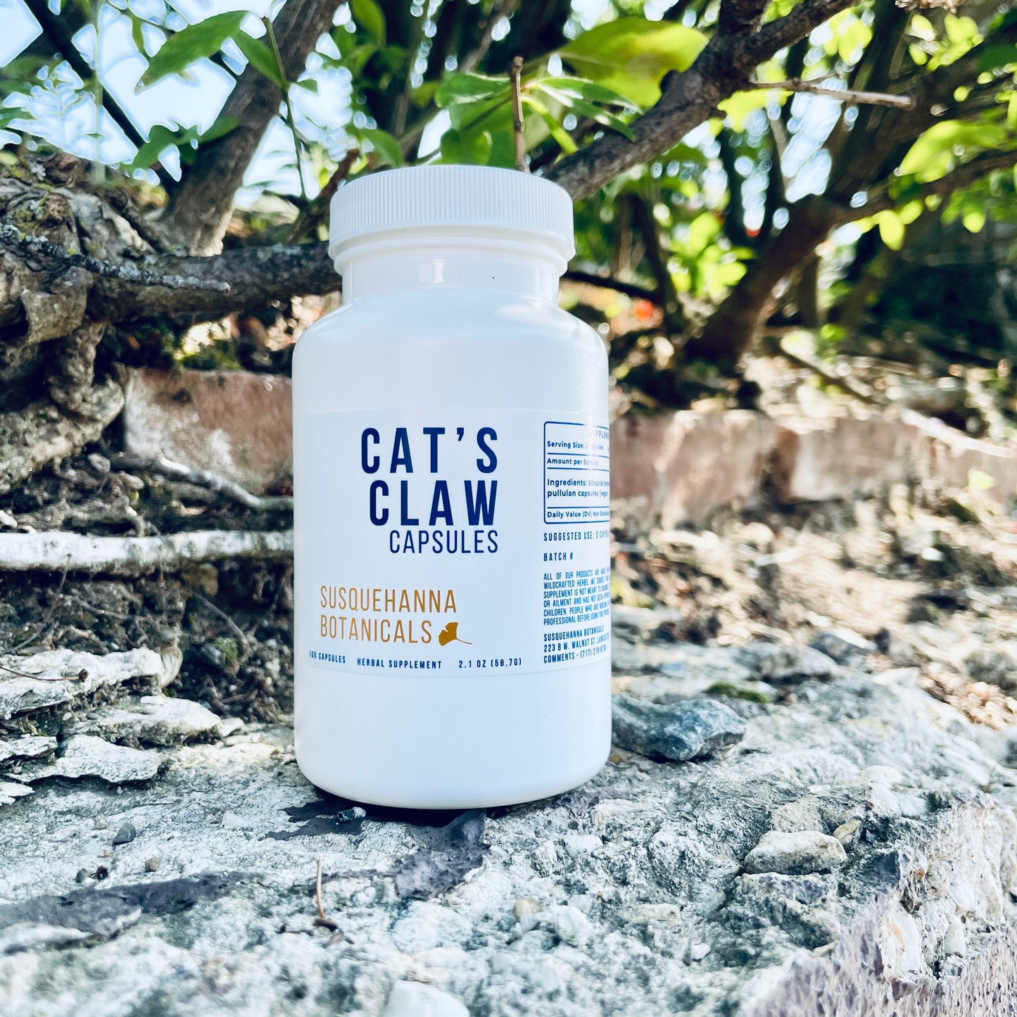 Cat's Claw Capsules | Hand Filled on GMP Equipment | Herbal Supplement | Uña de Gato