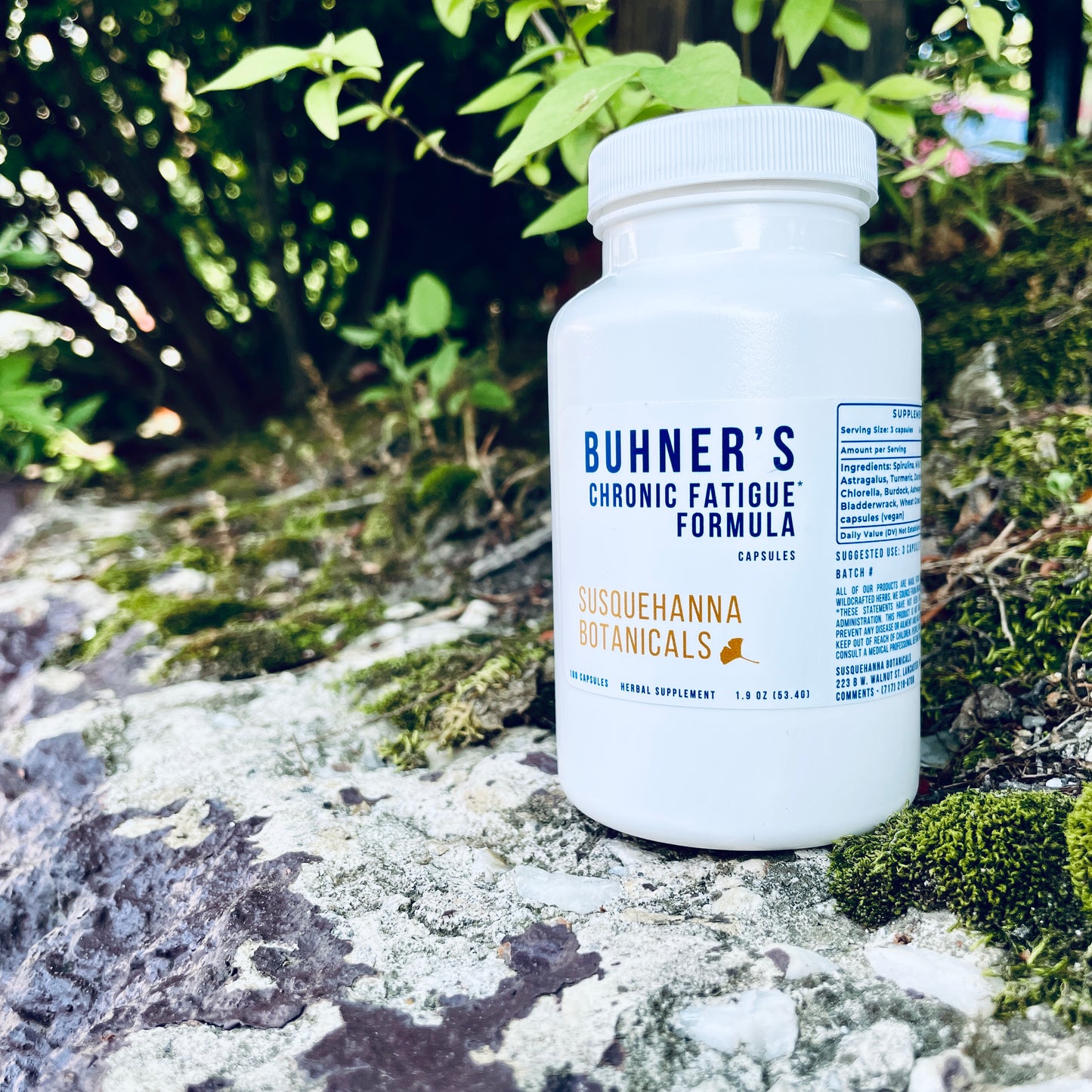 Buhner's Formula Capsules | Hand Filled on GMP Equipment | Herbal Supplement