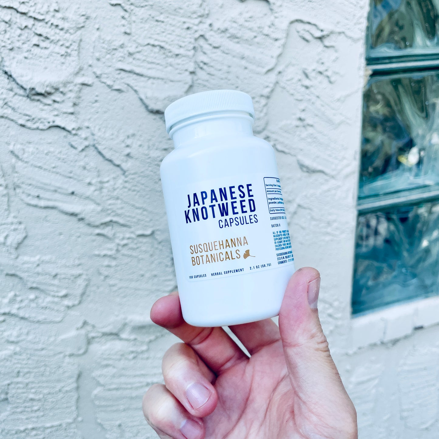 Japanese Knotweed Capsules | Hand Filled on GMP Equipment | Herbal Supplement | Hu Zhang
