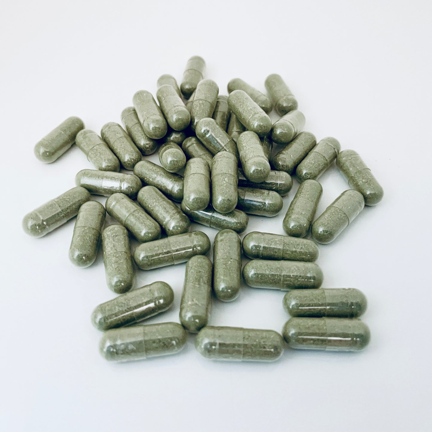 Andrographis Capsules | Hand Filled on GMP Equipment | Herbal Supplement | Kalmegh