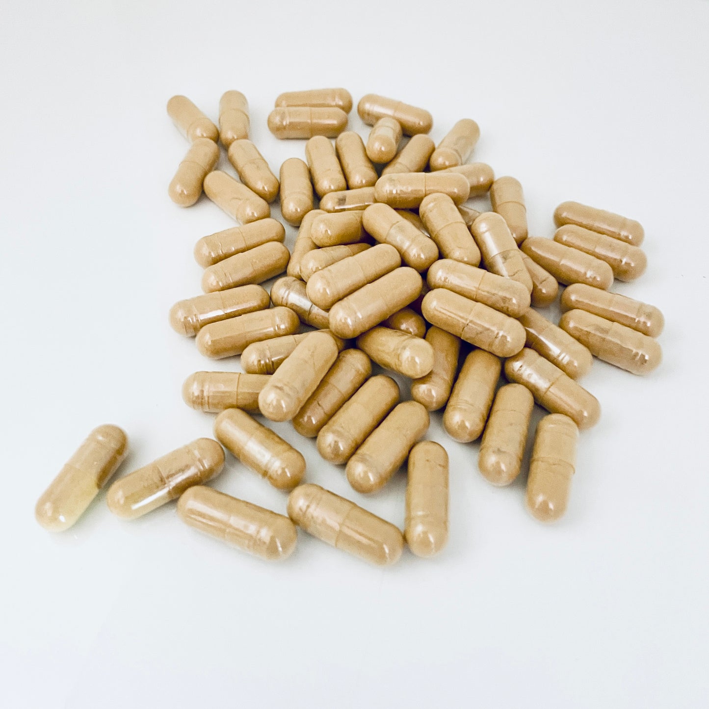Japanese Knotweed Capsules | Hand Filled on GMP Equipment | Herbal Supplement | Hu Zhang