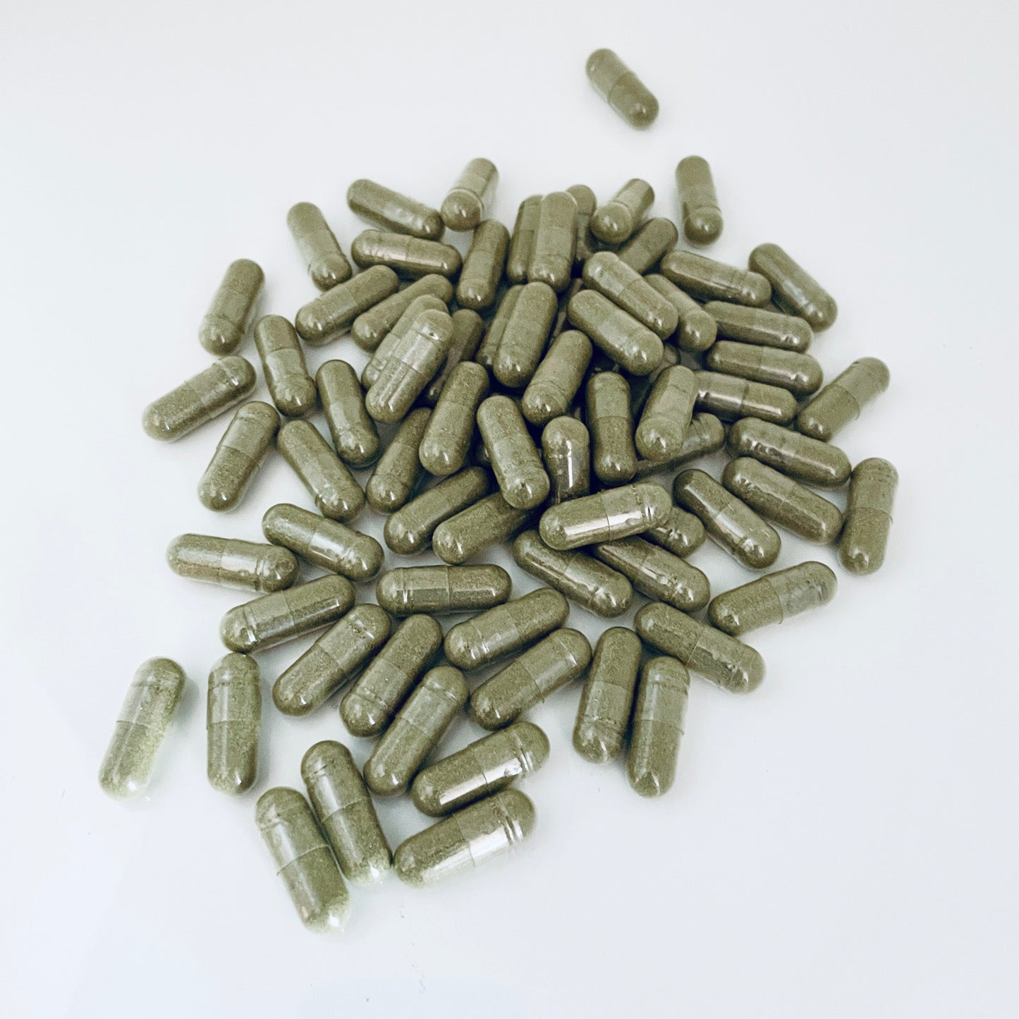 Buhner's Formula Capsules | Hand Filled on GMP Equipment | Herbal Supplement