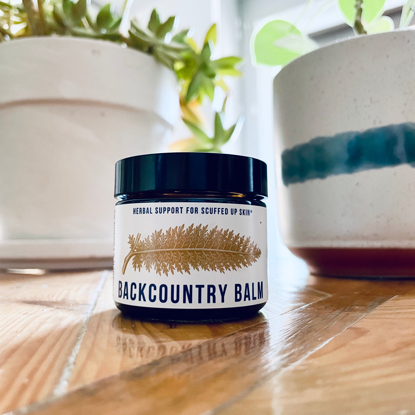 Back Country Balm | Forager's Formulas | Herbal Salve | Organic Ingredients