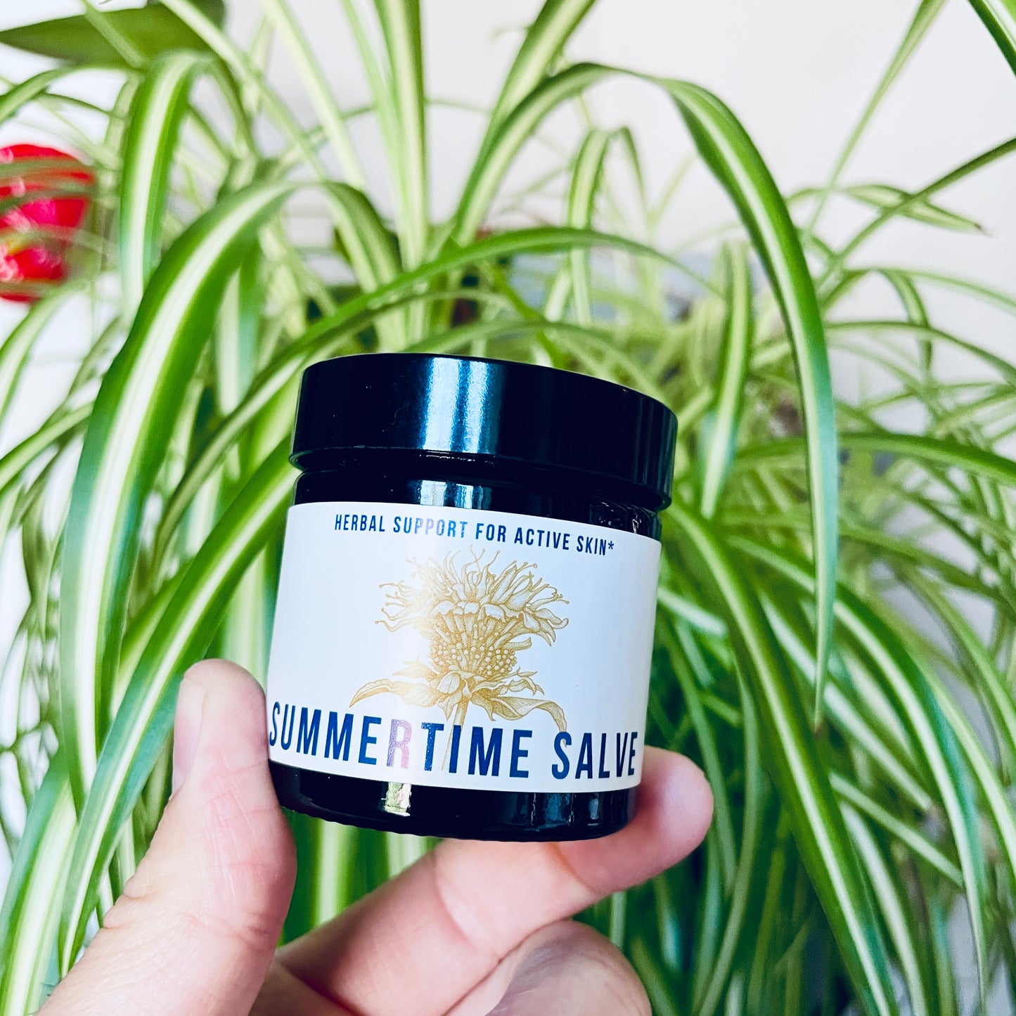 Summertime Salve | Forager's Formulas | Herbal Salve | Organic Ingredients