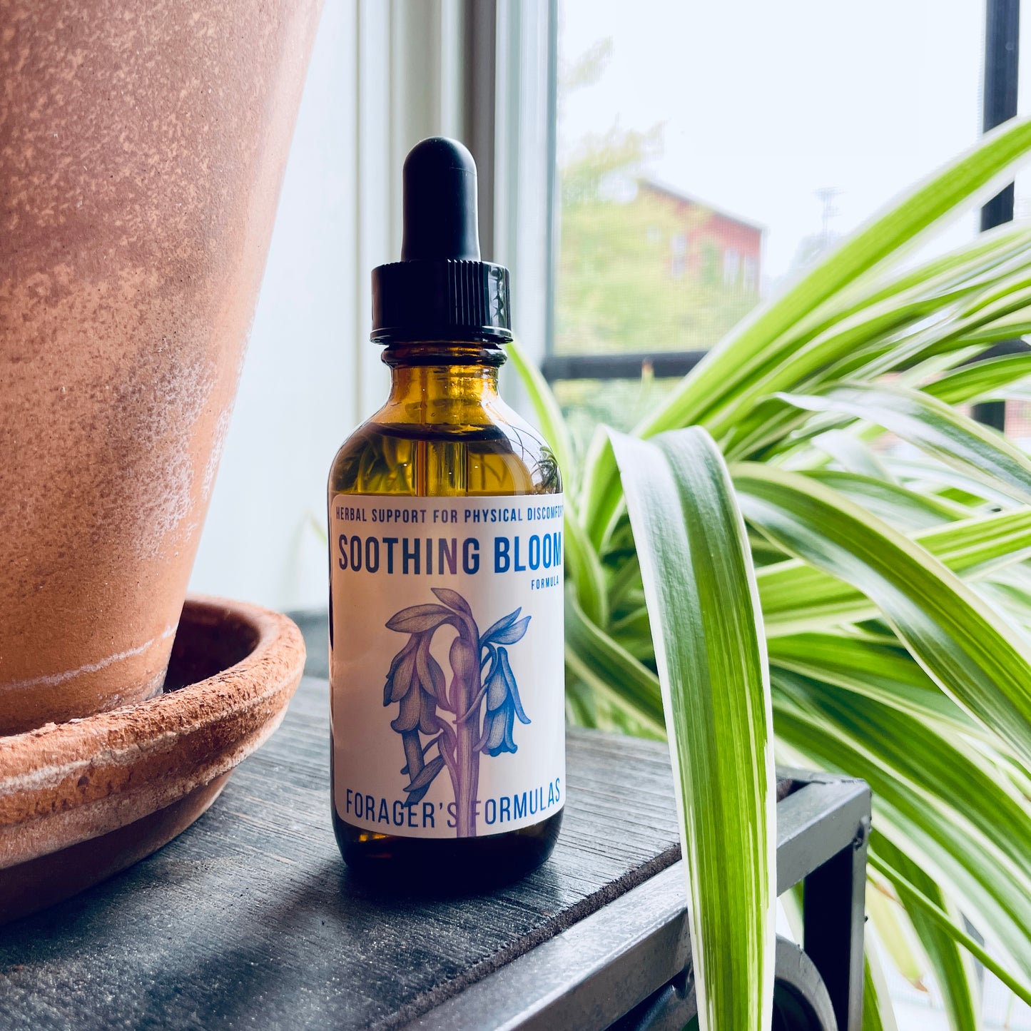 Soothing Bloom | Forager's Formulas | Herbal Tincture Blend