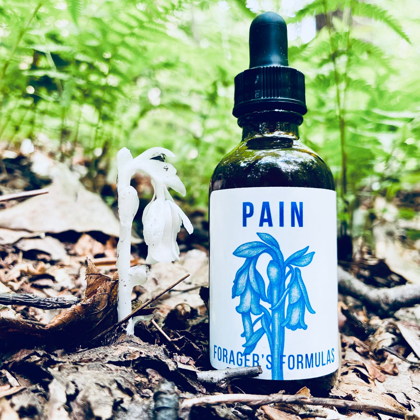Pain Formula - Forager's Formulas