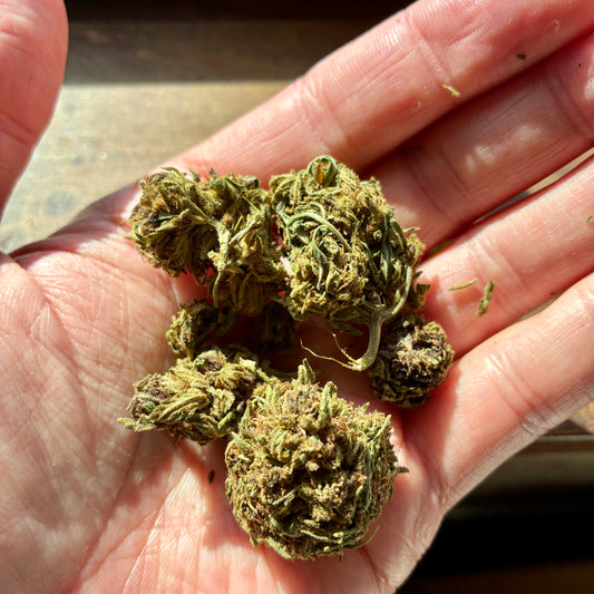 Frosted Grapes Hemp - CBD Flower