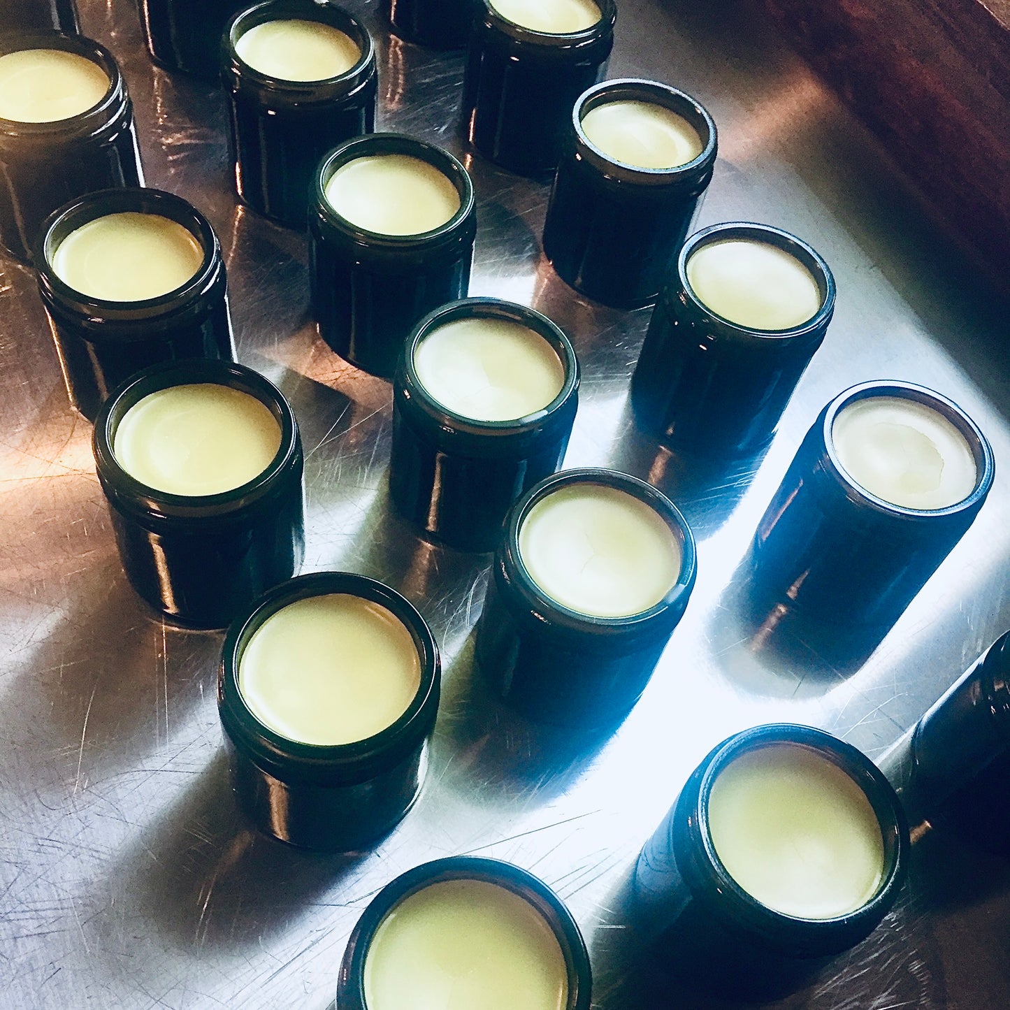 Riverbend Balm | Forager's Formulas | Herbal Salve | Organic Ingredients