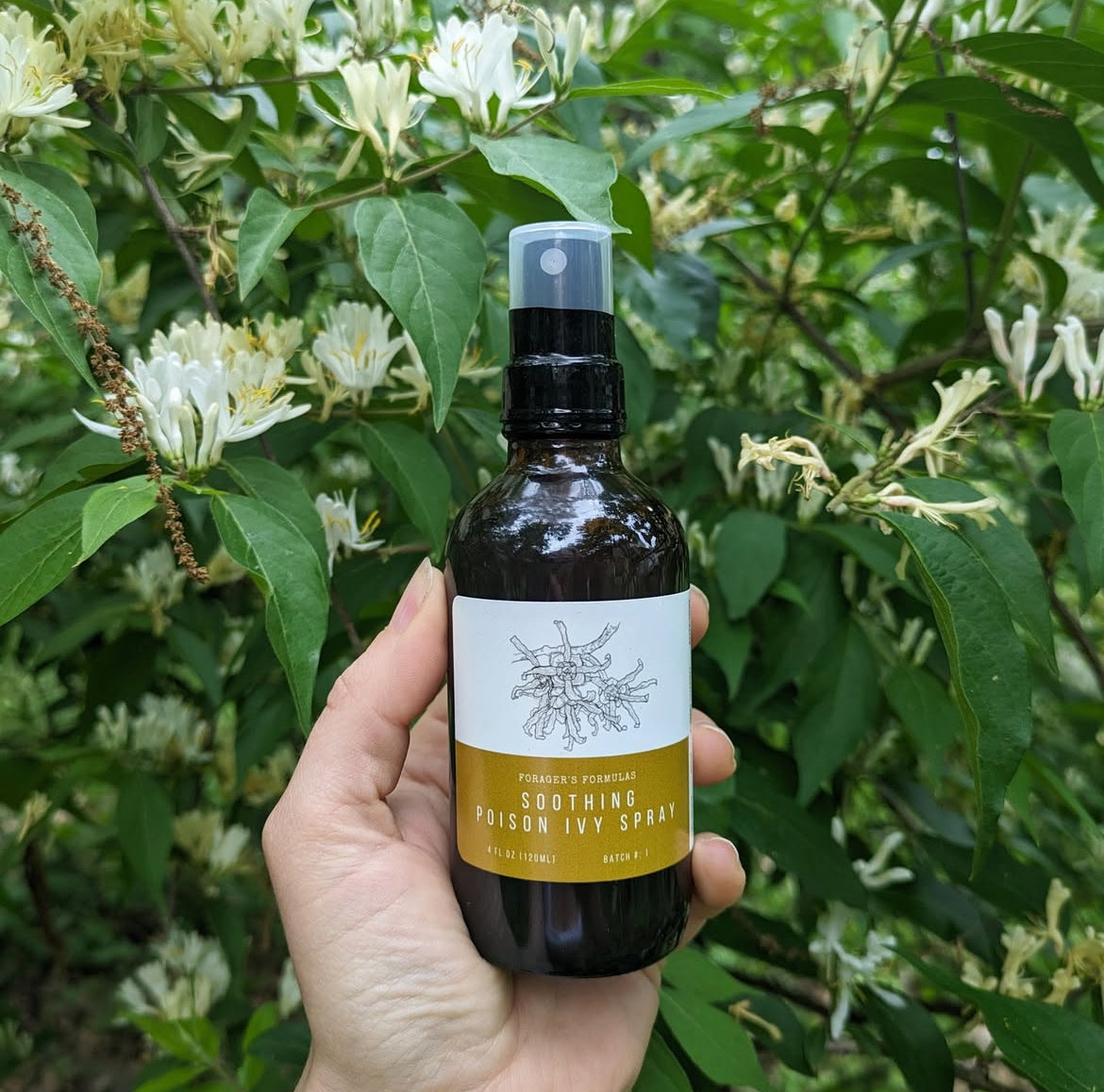 Ecological Gardener's Herbal Body Care Kit