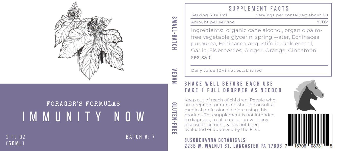 Immunity Now Tincture - Forager's Formulas