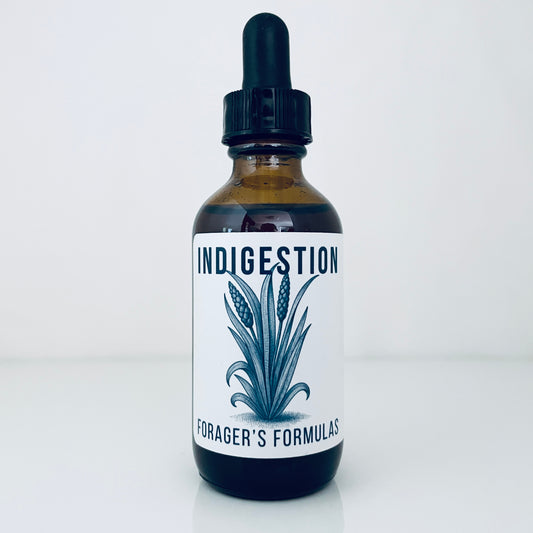Indigestion Tincture - Forager's Formulas