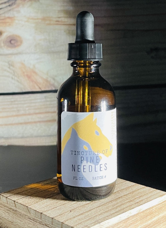 Pine Needles Tincture