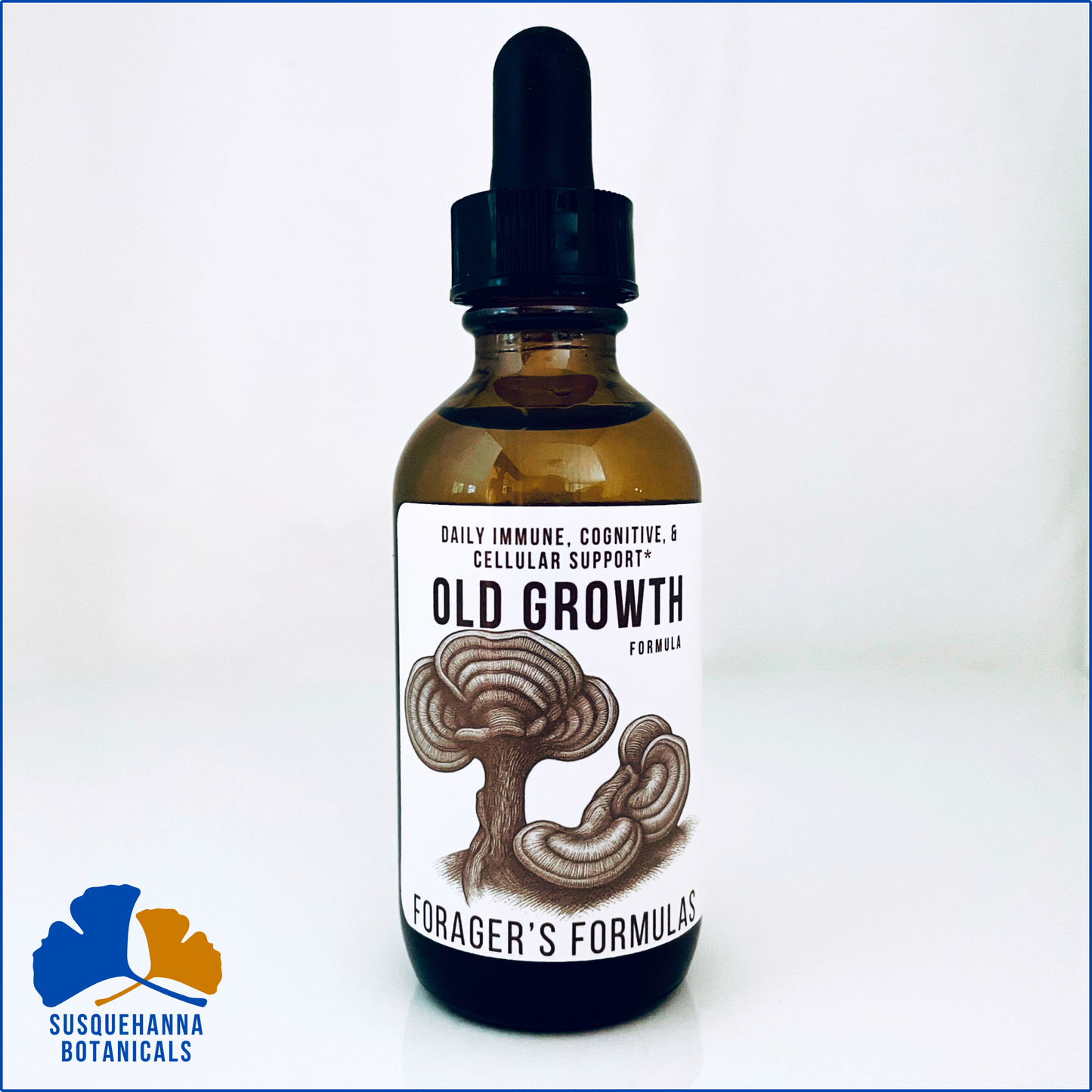 Old Growth | Forager's Formulas | Mushroom Tincture Blend