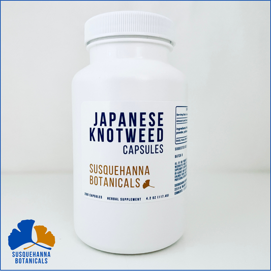 Japanese Knotweed Capsules | Hand Filled on GMP Equipment | Herbal Supplement | Hu Zhang