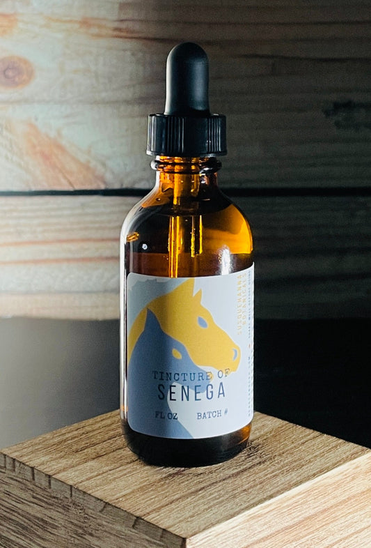 Senega Tincture