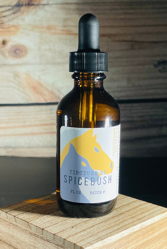 Spice Bush Tincture