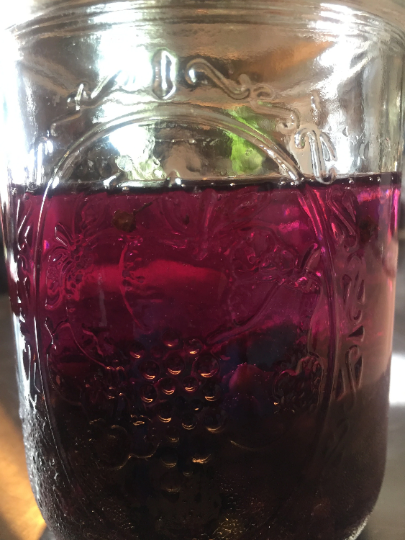 Elderberry Tincture