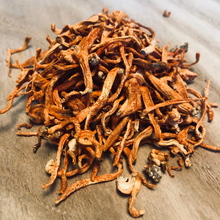 Load image into Gallery viewer, Cordyceps Fungus: Raw, Dried, American Grown
