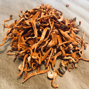 Cordyceps Fungus: Raw, Dried, American Grown